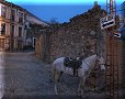 Real de Catorce, SLP - 25/02/2014 - 19:01