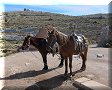 Real de Catorce, SLP - 26/02/2014 - 10:32