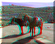 Real de Catorce, SLP - 26/02/2014 - 10:32 Real de Catorce, SLP - 26/02/2014 - 10:32