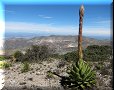 Real de Catorce, SLP - 26/02/2014 - 11:32