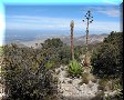 Real de Catorce, SLP - 26/02/2014 - 11:50