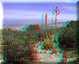 Real de Catorce, SLP - 26/02/2014 - 11:50 Real de Catorce, SLP - 26/02/2014 - 11:50