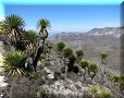 Real de Catorce, SLP - 26/02/2014 - 13:25