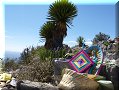 Real de Catorce, SLP - 26/02/2014 - 13:40