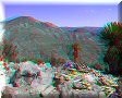 Real de Catorce, SLP - 26/02/2014 - 13:52 Real de Catorce, SLP - 26/02/2014 - 13:52