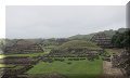 El Tajín, VER - 04/03/2014 - 11:40