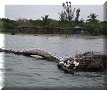 Tecolutla, VER - 05/03/2014 - 12:25