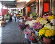 Xalapa, VER - 08/03/2014 - 08:52