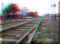 José Cardel, VER - 09/03/2014 - 08:37 José Cardel, VER - 09/03/2014 - 08:37