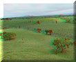 Tres Zapotes, VER - 10/03/2014 - 13:38 Tres Zapotes, VER - 10/03/2014 - 13:38