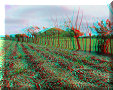 Tres Zapotes, VER - 10/03/2014 - 14:12 Tres Zapotes, VER - 10/03/2014 - 14:12