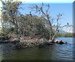 Catemaco, VER - 11/03/2014 - 15:20