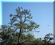 Catemaco, VER - 11/03/2014 - 15:21