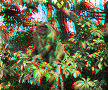 Catemaco, VER - 11/03/2014 - 15:32 Catemaco, VER - 11/03/2014 - 15:32