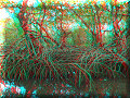 Sontecomapan, VER - 12/03/2014 - 11:38 Sontecomapan, VER - 12/03/2014 - 11:38