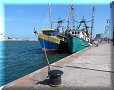 Veracruz, VER - 13/03/2014 - 15:17