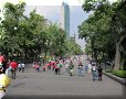 Mexique - Mexico, DF - 15/03/2014 - 15:49