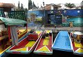 Xochimilco, CDMX - 23/10/2016 - 10:29