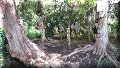 Xochimilco, CDMX - 23/10/2016 - 11:28
