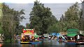 Xochimilco, CDMX - 23/10/2016 - 11:31