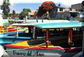 Xochimilco, CDMX - 23/10/2016 - 12:40