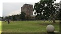 Mexico, CDMX - 23/10/2016 - 17:14