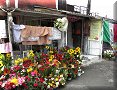 Mexico, CDMX - 25/10/2016 - 13:00