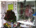 Mexico, CDMX - 25/10/2016 - 13:02