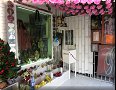 Mexico, CDMX - 25/10/2016 - 13:09