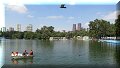 Mexico, CDMX - 25/10/2016 - 14:12