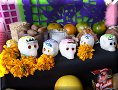 Pachuca de Soto, Hgo - 26/10/2016 - 15:29