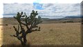 Cañada de la Virgen, Gto - 04/11/2016 - 11:51