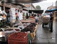 Pátzcuaro, Mich - 10/11/2016 - 11:23