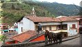 Angangueo, Mich - 12/11/2016 - 08:52