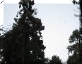 Santuario Rosario, Mich - 13/11/2016 - 12:58