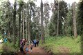 Santuario Rosario, Mich - 13/11/2016 - 13:02