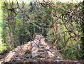 Yaxchilán - 08/05/2003 - 13:26