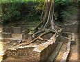 Site de Palenque - 09/05/2003 - 11:10