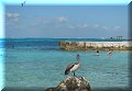 Isla Mujeres, Roo - 21/02/2023 - 11:10