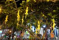 Isla Mujeres, Roo - 21/02/2023 - 20:34