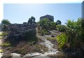 Tulum, Roo - 23/02/2023 - 11:07