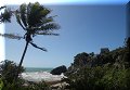 Tulum, Roo - 23/02/2023 - 11:08