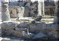Tulum, Roo - 23/02/2023 - 11:56