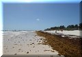 Tulum, Roo - 23/02/2023 - 12:21