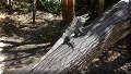 Tulum, Roo - 23/02/2023 - 13:17