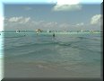 Isla Mujeres, Roo - 24/02/2023 - 09:56