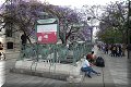 Mexico, CDMX - 31/03/2024 - 16:23