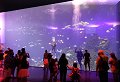 Mazatlán, Sin - 11/04/2024 - 11:22