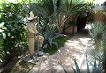 Mazatlán, Sin - 12/04/2024 - 11:45