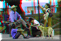 Matagalpa - 07/05/2005 - 17:03 Matagalpa - 07/05/2005 - 17:03